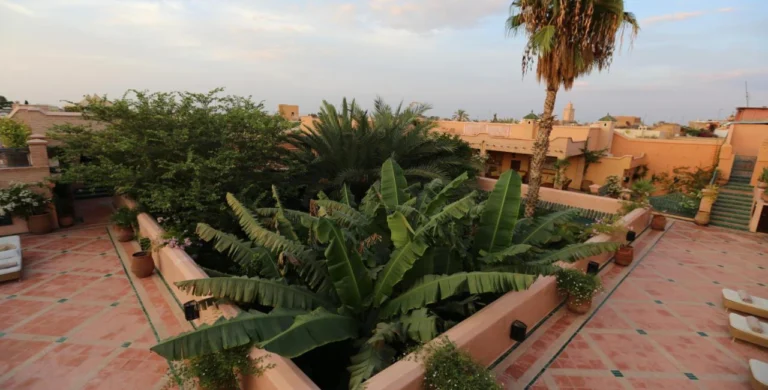 A Historic and Sensory Gem in the Heart of Marrakech