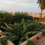 Un joyau historique et sensoriel au cœur de Marrakech